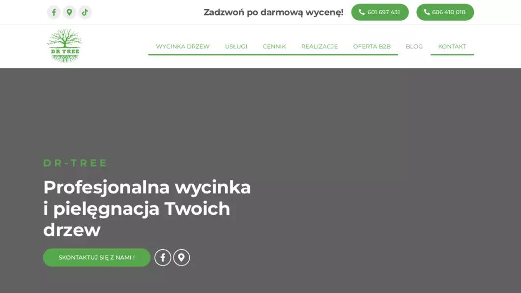 Wycinka, pielęgnacja drzew Kraków | Dr-tree - podgląd